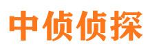 巨鹿侦探公司